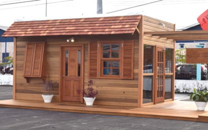 Timber Expo opens…Locals urged to cash in on valued-added, other timber products