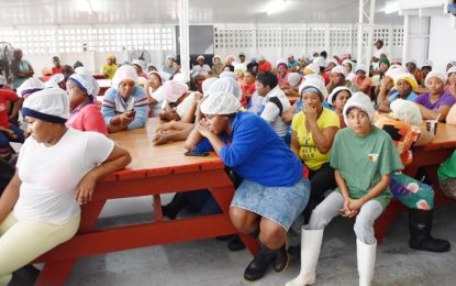 BEV workers to be assisted by govt