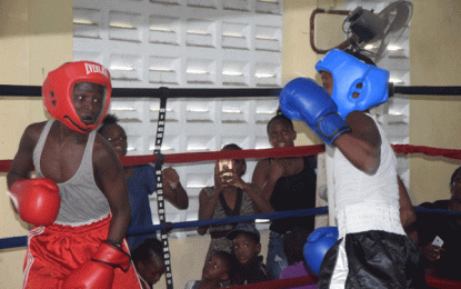 GBA begins preparations for Caribbean Schoolboys’ boxing tournament – Junior competition on this Saturday at Andrew ‘Six head’ Lewis Gym