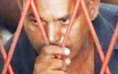 Businessman charged with causing death of pedal cyclist