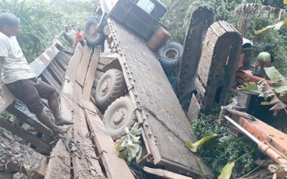 Team dispatched to assess bridge collapse on Lethem trail  -road users to be made accountable for overweight vehicles