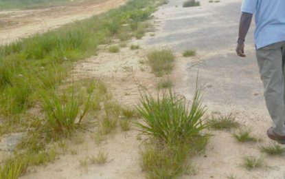 Baramita airstrip pothole complaints lead to inspection of other runways