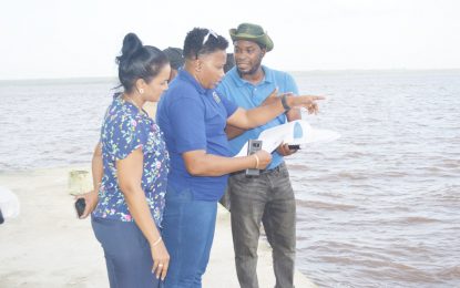 Ferguson inspects Bartica stelling, power plant projects