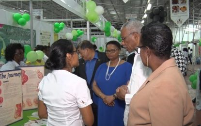 Primary health care should be accessible within five kilometres