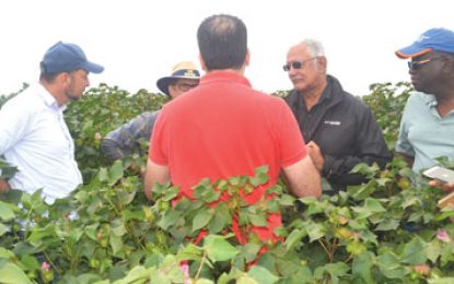 Brazilians signs MoU for agri village in Rupununi