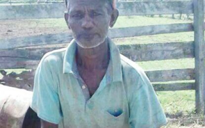Canje labourer shot dead during alleged cattle ranch robbery  -co-worker, two others in custody