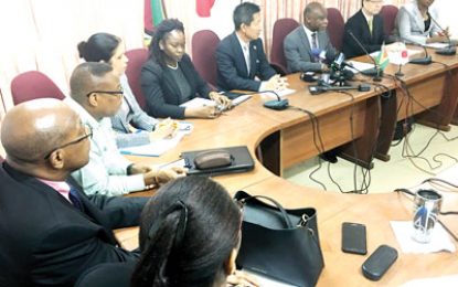 US$17M Japan grant aid to revamp city power network