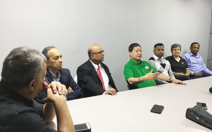 MovieTowne owner decries red tape in US$40M Turkeyen investment