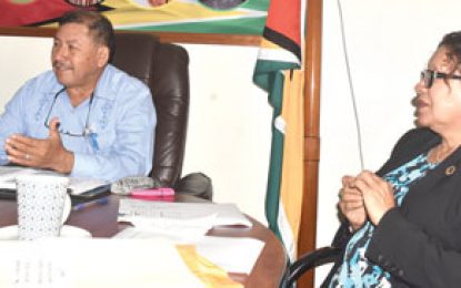 Evidence of Political Interference in Village Councils Elections