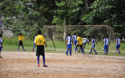EBFA / Juicy Juice U-13 League Diamond United, Timehri Panthers & Hararuni Eagles put away opponents