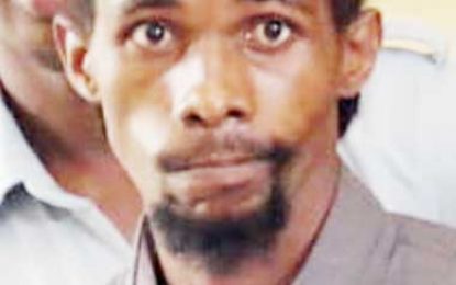 Sting operation lands driver in jail for unlicensed firearm