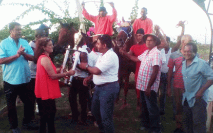 Nand Persaud Karibee Rice stable comes out on tops – T and T, Golden Blue Echo take top two position in feature race