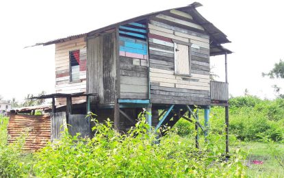 Berbice pensioner batters girlfriend to death over badly cooked food