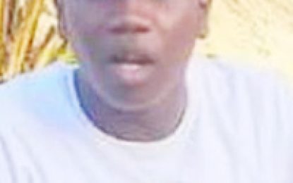 Minibus drivers granted $300,000 bail each for brothers’ deaths