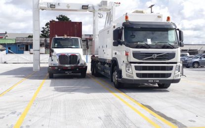 Sloth in container scanning delays exports