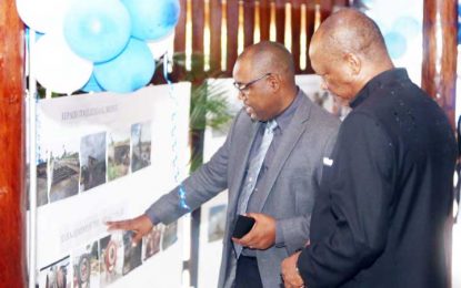 Harbour Bridge turns 40