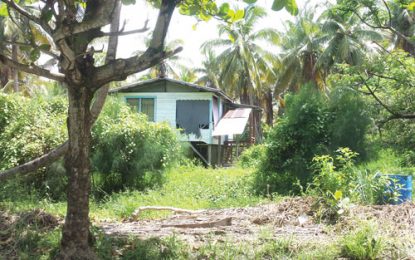 Farmers abandoning Pomeroon lands amid “global warming”