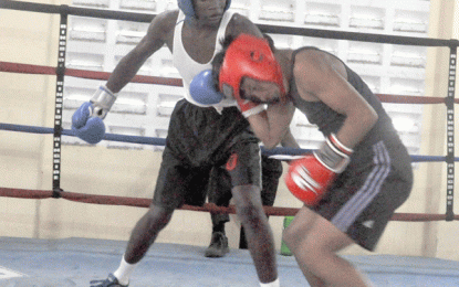GBA Schoolboys/ Junior Boxing C/Ships…. Five titles decided on opening day