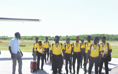 One-Day champs return home to high-level welcome