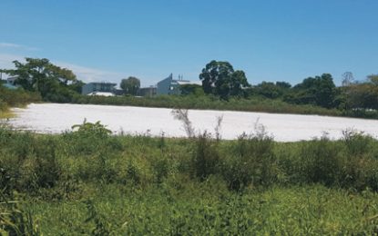 $1.1B for new headquarters, labs for Food & Drug Dept.