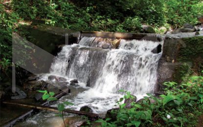 Govt. applies for licence to build 20kW hydro electric project in Region 1