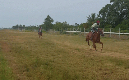 One more event added to Nand Persaud Karibee Sprint Classic today – Photo Finish Replay camera in place with over 60 entries