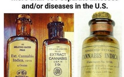 Some pros and cons of Cannabis ’high’ science for Guyana