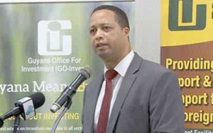 Go-Invest to review operational model to improve ability to promote exports