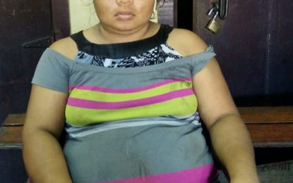 Mother stabs son, 3, to death