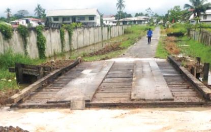 Despite concerns, $4.8M approved for additional works for Goed Fortuin bridge