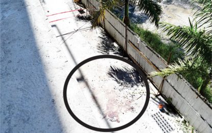 Vietnamese welder found dead on construction site