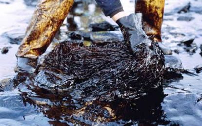 Guyana must investigate ExxonMobil’s waste disposal plan – Int’l Consultants