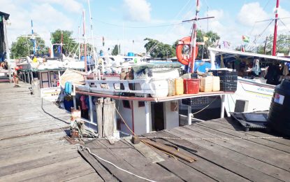 Several Venezuela boats detained, released over locally-issued licences