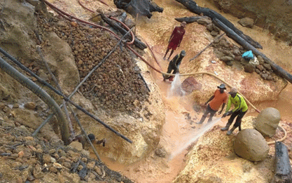 Miners’ body ups pressure on Govt. for mercury phase-out assistance