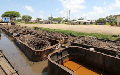 Major offers submitted for “entire” sugar industry