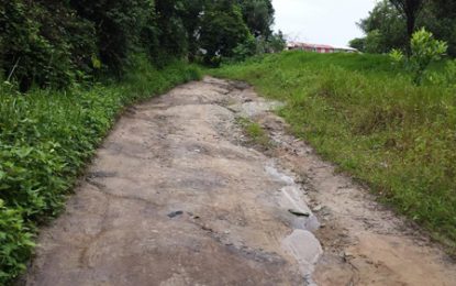 Tapakuma to benefit from improved access road by year end