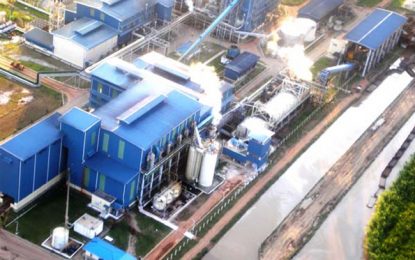 Privatisation/divestment of closed estates… Land, factory, co-gen plant at Skeldon up for grabs