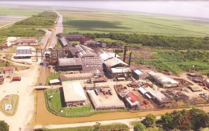 Three-estate GuySuCo to barely scrape past 100,000 tonnes -minimal losses at Uitvlugt after turbine problem