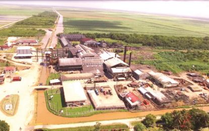 GuySuCo launches probe in Uitvlugt Estate turbine incident