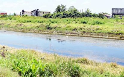 Body found in # 1 Canal trench still unidentified