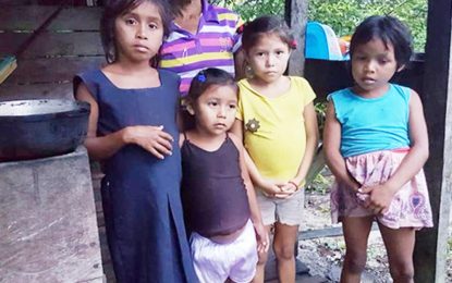 Relief supplies to be placed in three regions for Venezuelans migrants