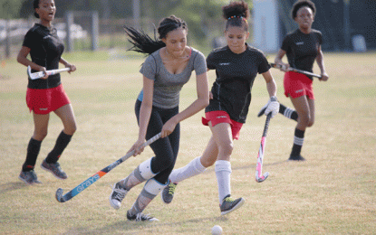 GHB Leagues continue this weekend with 12 matches
