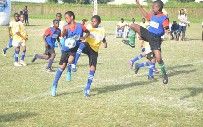 2018 Courts Peewee… Eight matches contested at Education ground yesterday