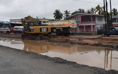 EPA lacks manpower to monitor East Coast Project