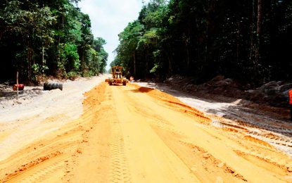Patterson should release evaluation of Amaila Falls access road project-Jagdeo