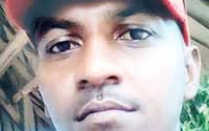 Family flays police probe of Little Diamond man crushed to death