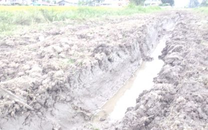 E’bo rice farmers halt harvesting due to poor roads