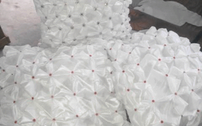 From Trash to Treasure -Linden youths in recycling project