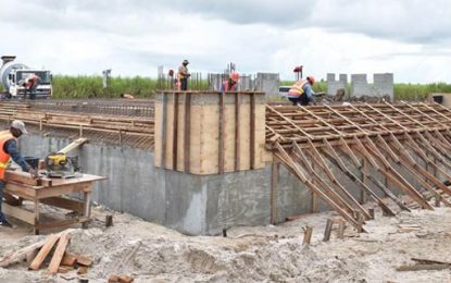 Palmyra Monument works restarted