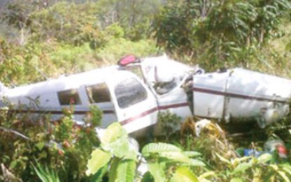 Court awards $71M to plane crash survivor